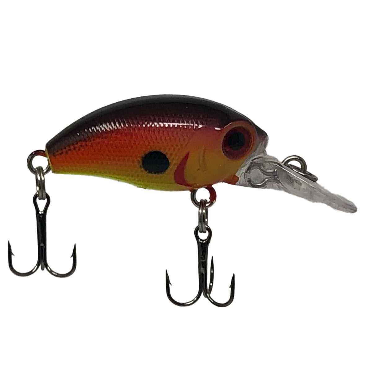 LACQUER`S 『Wounded crappie』　ヘッドハンターズ LACQUER`S 『Wounded crappie』 ヘッドハンターズ 【公式通販】
