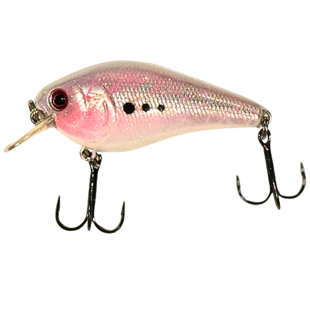 Head Hunter Tungsten 1.5 Square Bill Crankbait in Silverfish
