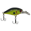 Crappie Diver Squarebill Crank