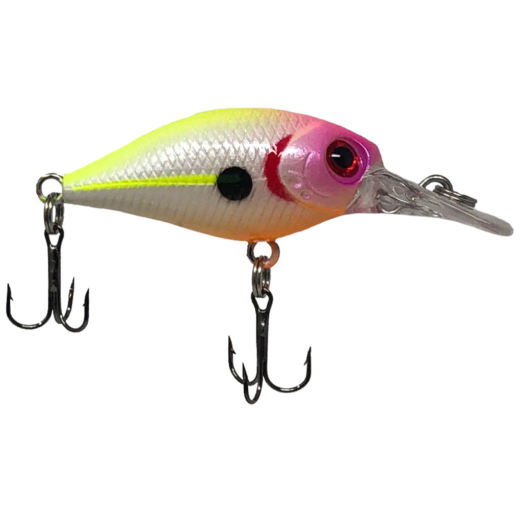 Crappie Diver Squarebill Crank