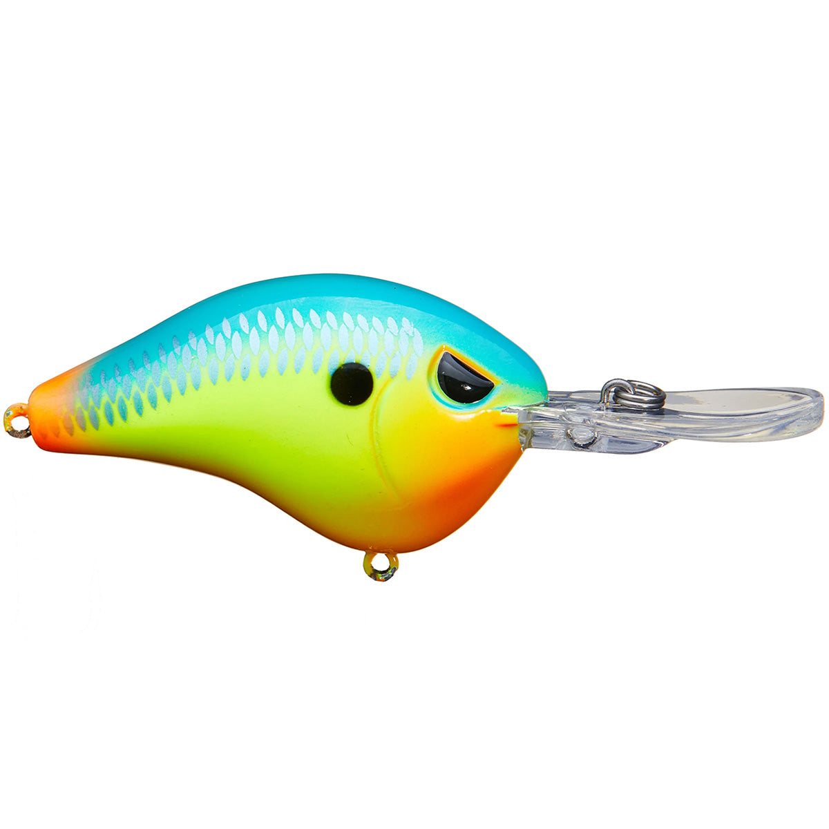 レビュー高評価アイテム特集｜ファッション通販 5/8 Shad Dad Crankbait Medium Driver – Head Hunter Lures LLC ルアー・フライ