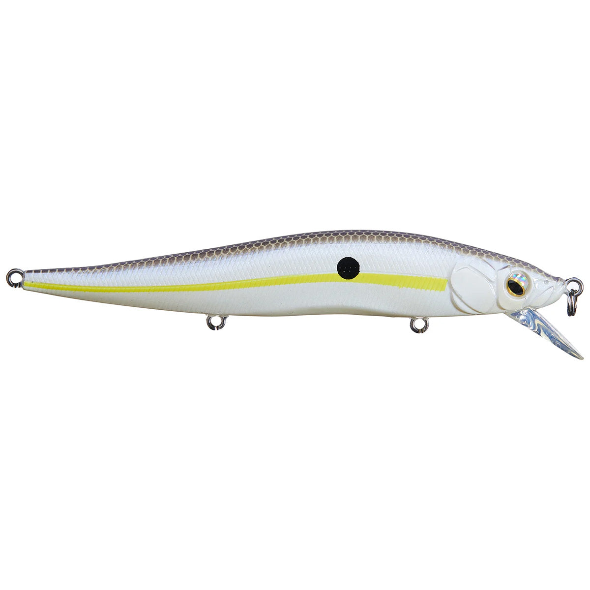 3 3/4" Minnow Suspending Jerk Bait