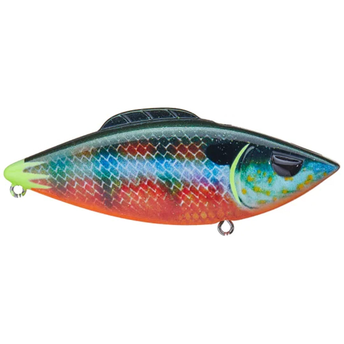 Fire Tail Rattler | Head Hunter Lures – Head Hunter Lures LLC